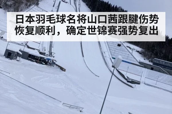 日本羽毛球名将山口茜跟腱伤势恢复顺利，确定世锦赛强势复出