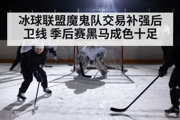 冰球联盟魔鬼队交易补强后卫线 季后赛黑马成色十足