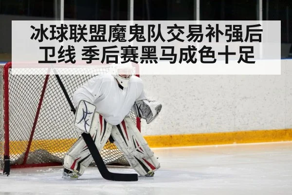 hockey defenseman